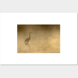 Yellow Mist - Great Blue Heron, Algonquin Park Posters and Art